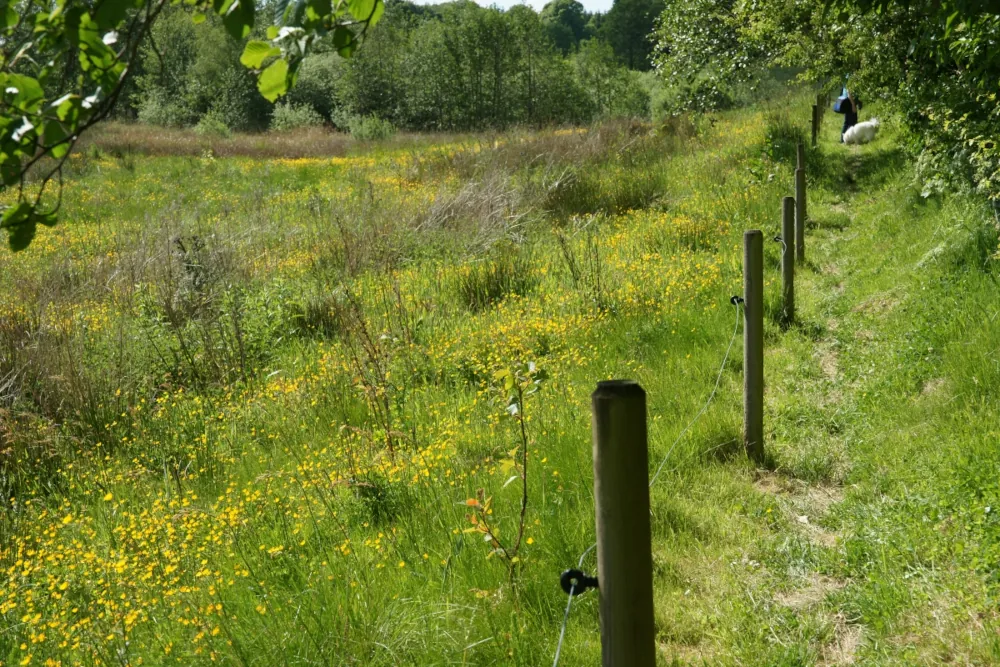 Kalk Kaminoen  - mellem Drost Peders Høj og Smollerup Kirke