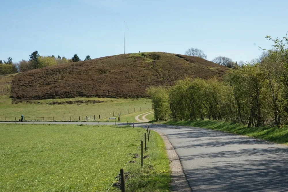 Daugbjerg Dås set fra nord