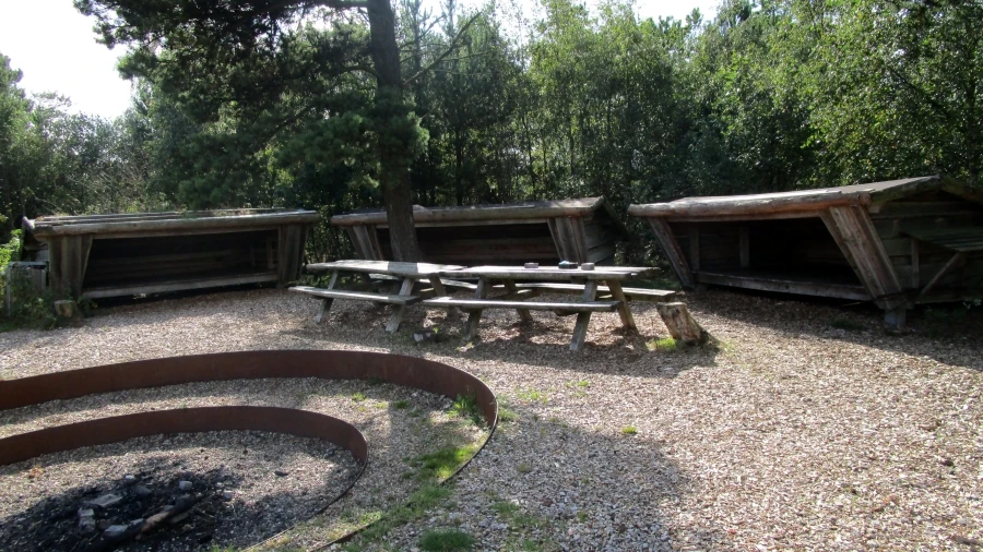 Shelterplads på Kongenshus Hede